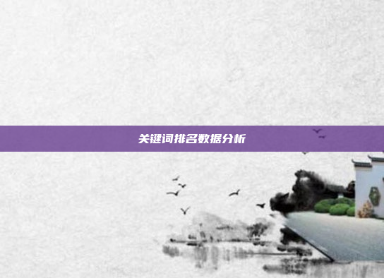 关键词排名数据分析