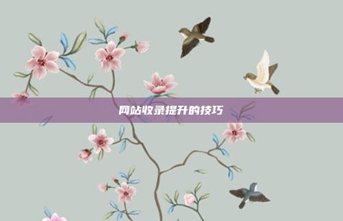 网站收录提升的技巧