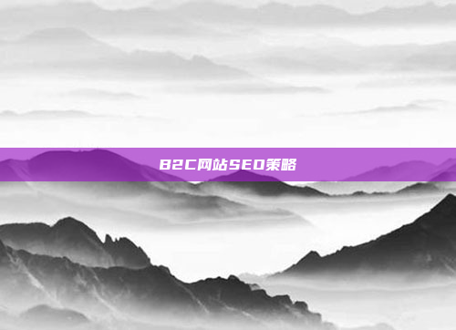 B2C网站SEO策略
