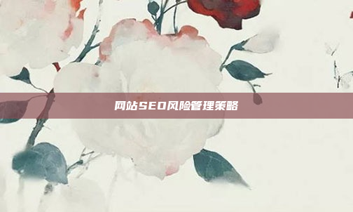 网站SEO风险管理策略
