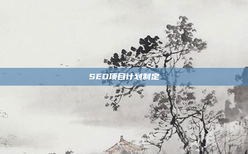 SEO项目计划制定