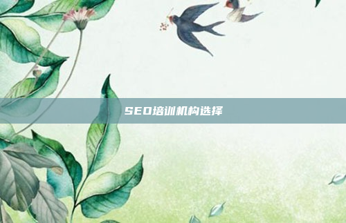 SEO培训机构选择