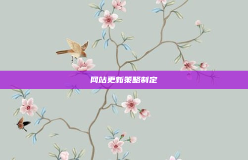 网站更新策略制定