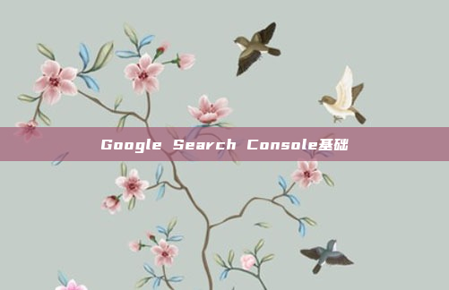 Google Search Console基础