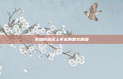 关键词排名上不去的常见原因