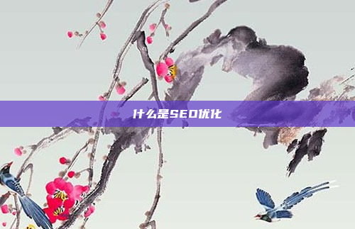 什么是SEO优化