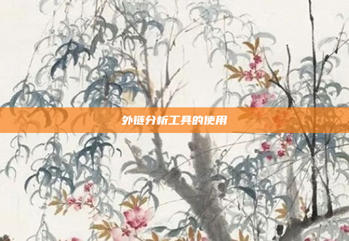 外链分析工具的使用