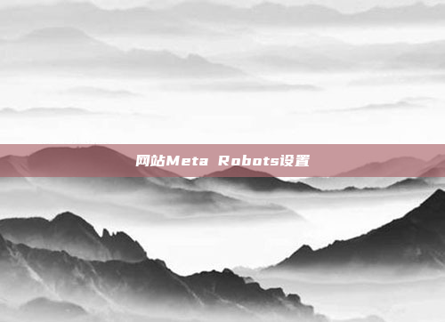 网站Meta Robots设置