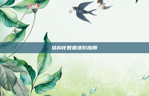 结构化数据进阶应用