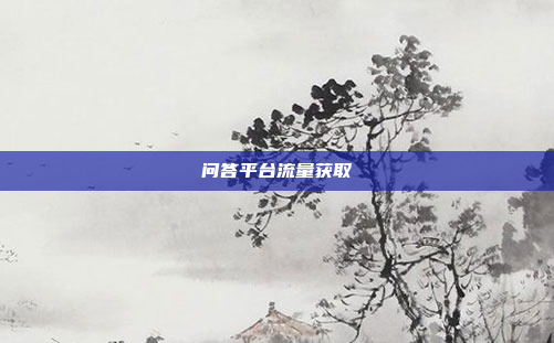 问答平台流量获取