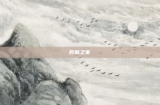 胖熊之家