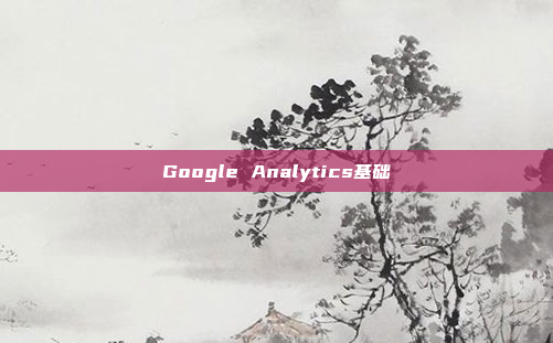 Google Analytics基础