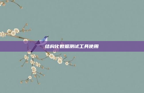 结构化数据测试工具使用