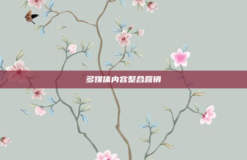 多媒体内容整合营销