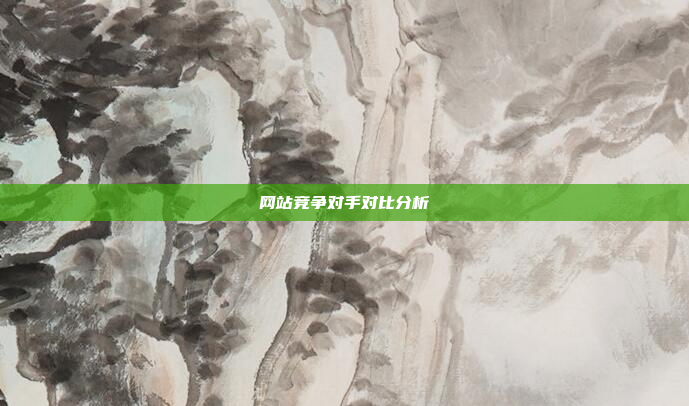网站竞争对手对比分析