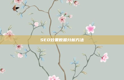 SEO效果数据分析方法