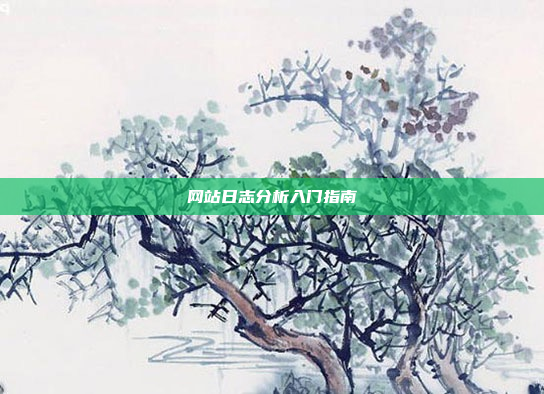 网站日志分析入门指南