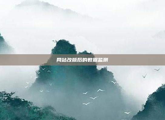 网站改版后的数据监测