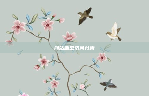 网站爬虫访问分析