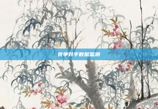 竞争对手数据监测