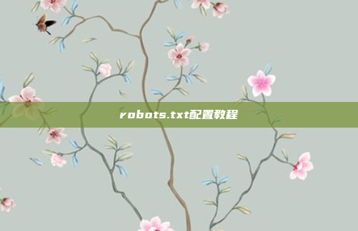 robots.txt配置教程