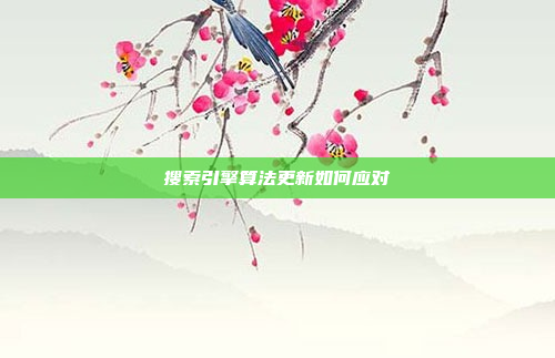 搜索引擎算法更新如何应对