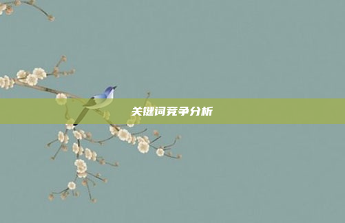 关键词竞争分析