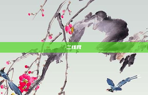 二线网