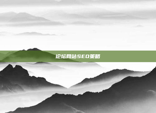 论坛网站SEO策略