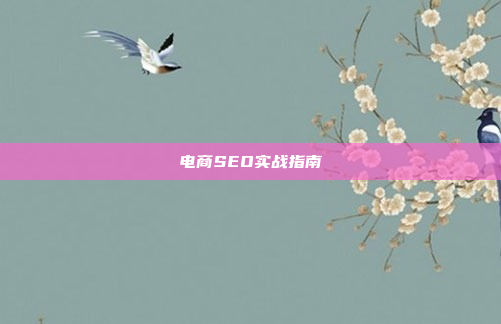 电商SEO实战指南