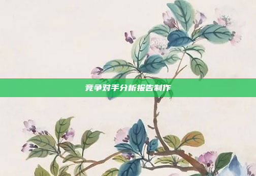 竞争对手分析报告制作