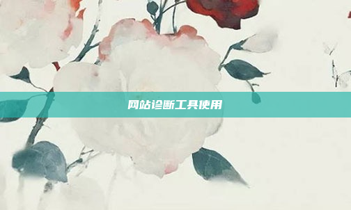 网站诊断工具使用