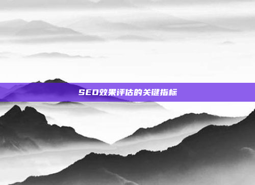 SEO效果评估的关键指标