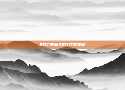 B2C电商SEO完整攻略