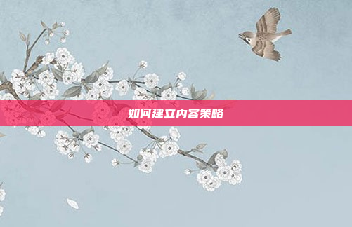 如何建立内容策略