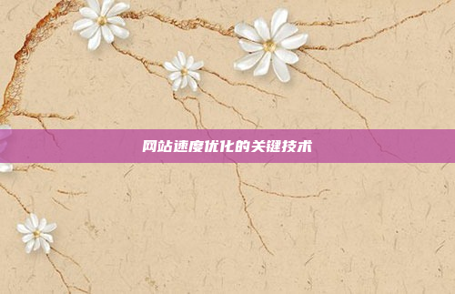 网站速度优化的关键技术