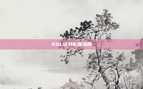 SSL证书配置指南