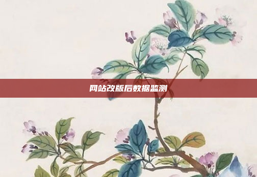 网站改版后数据监测