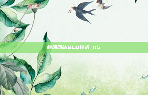 新闻网站SEO技术_115