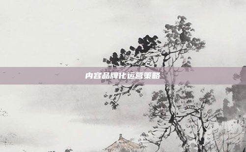 内容品牌化运营策略