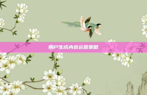 用户生成内容运营策略