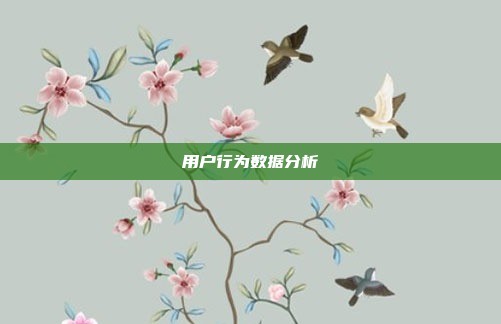 用户行为数据分析