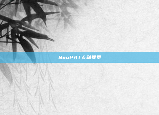 SooPAT专利搜索