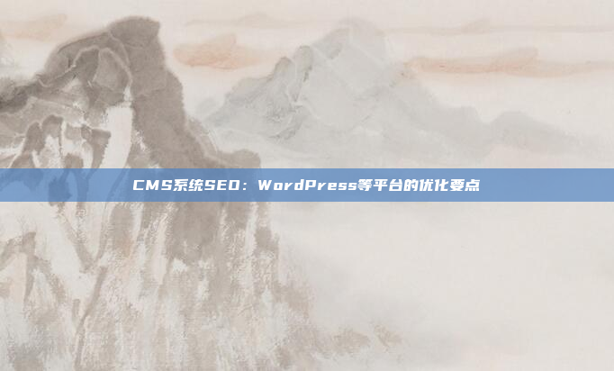 CMS系统SEO：WordPress等平台的优化要点