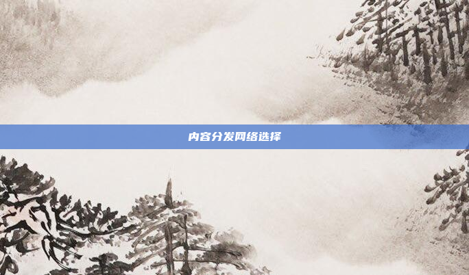 内容分发网络选择