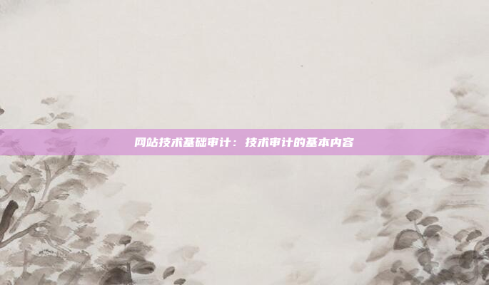 网站技术基础审计：技术审计的基本内容