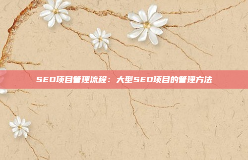 SEO项目管理流程：大型SEO项目的管理方法