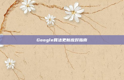 Google算法更新应对指南