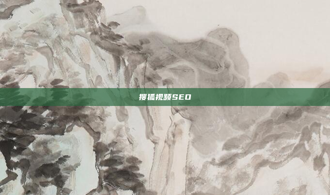 搜狐视频SEO