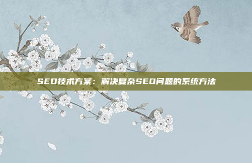 SEO技术方案：解决复杂SEO问题的系统方法